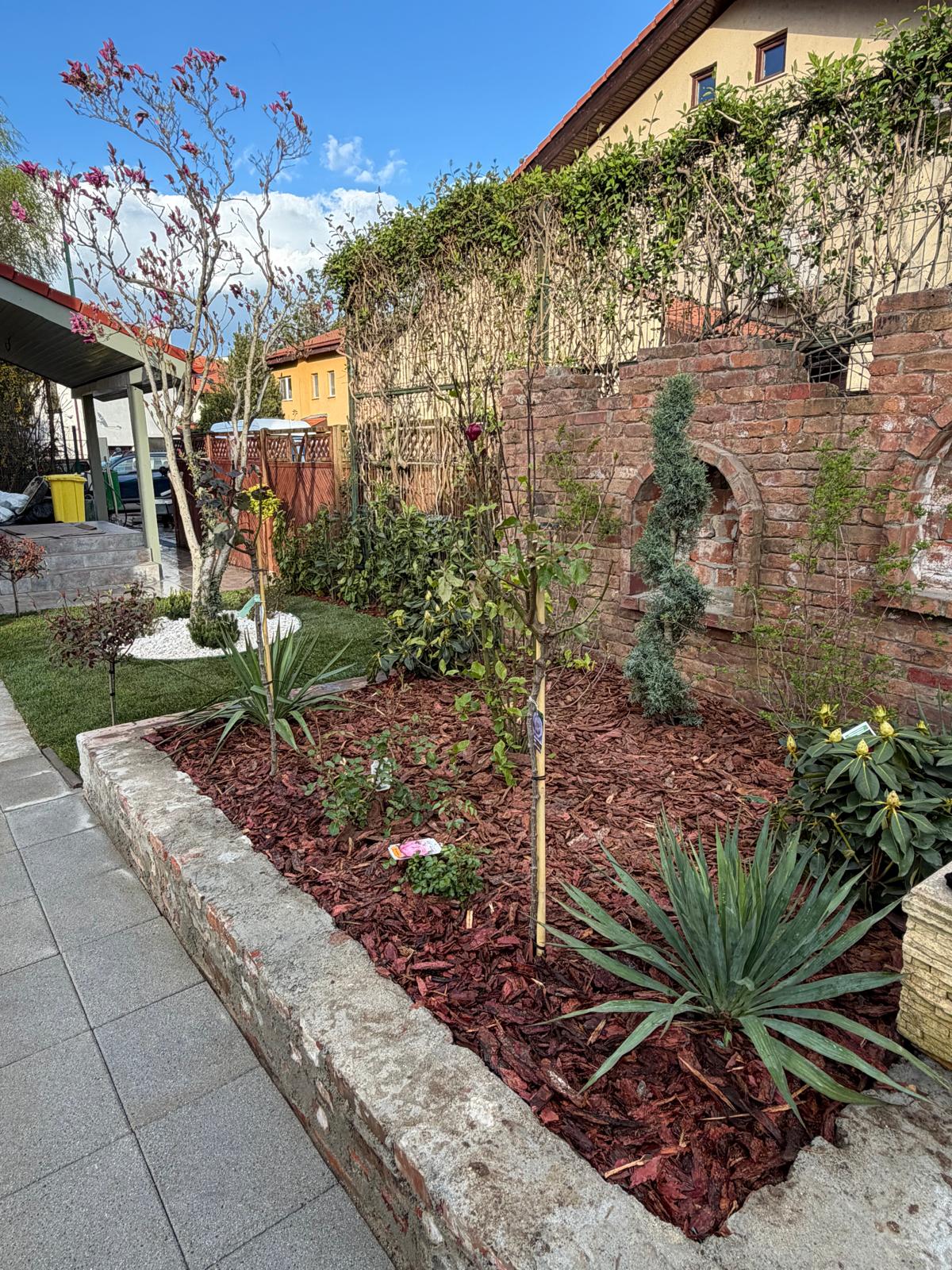 amenajare-proiectare-gradini-apache-gardens-1