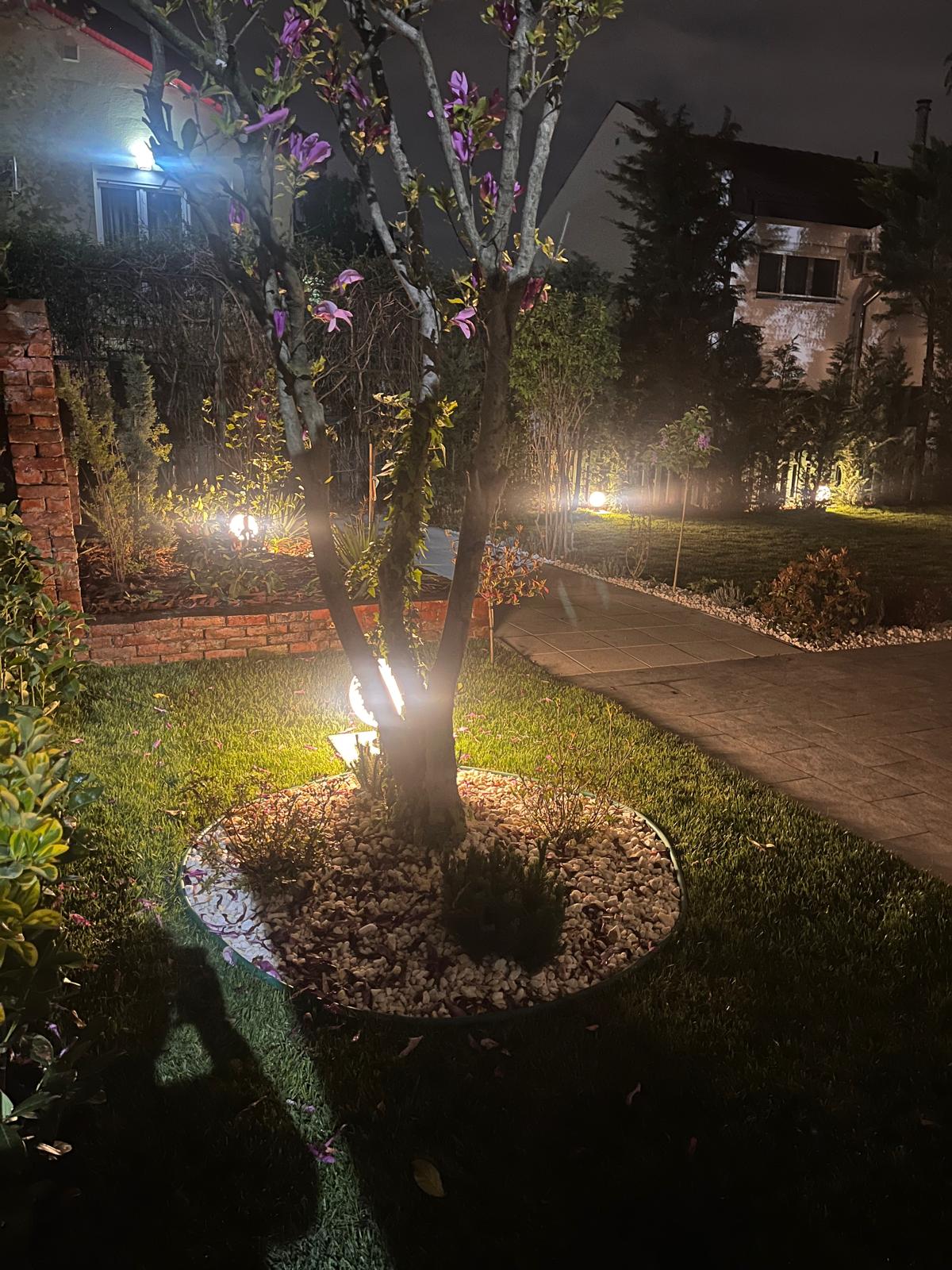 amenajare-proiectare-gradini-apache-gardens-16